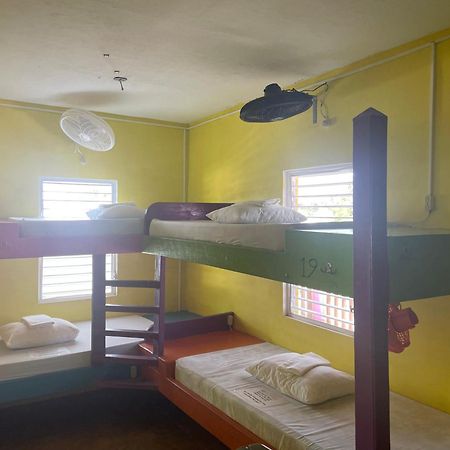 Travellers Palm Backpackers Hostel Кайе Колкер Екстериор снимка