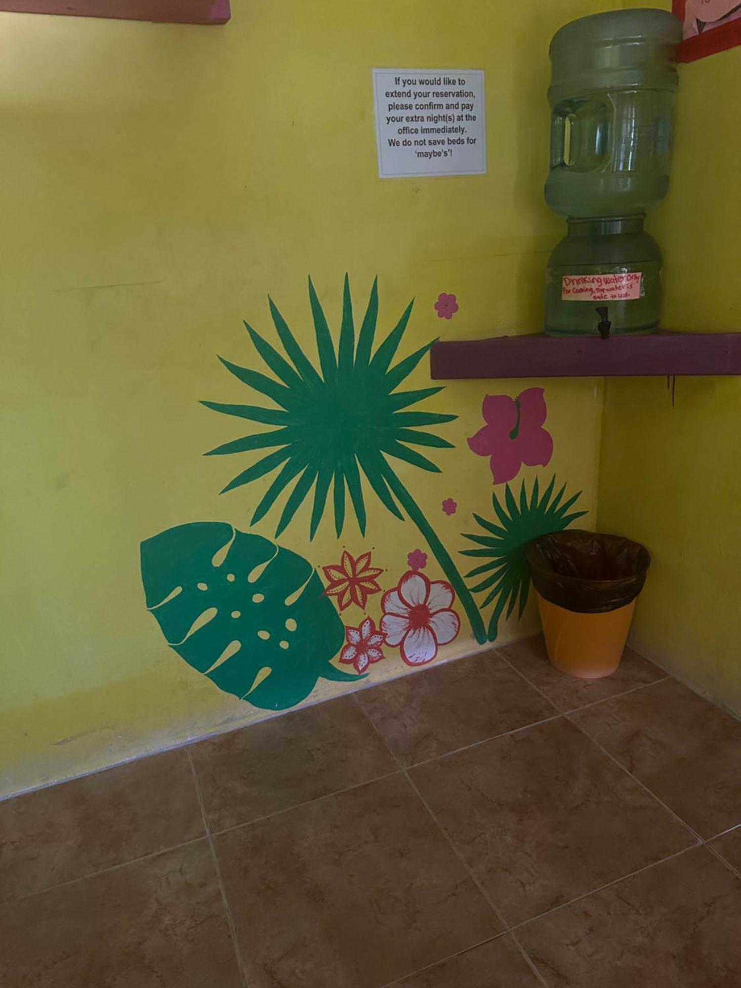 Travellers Palm Backpackers Hostel Кайе Колкер Екстериор снимка
