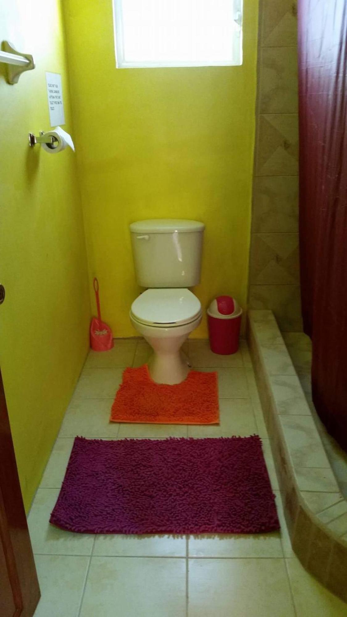 Travellers Palm Backpackers Hostel Кайе Колкер Екстериор снимка