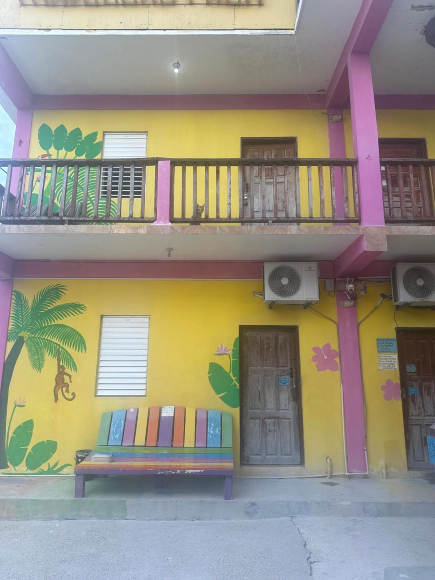Travellers Palm Backpackers Hostel Кайе Колкер Екстериор снимка