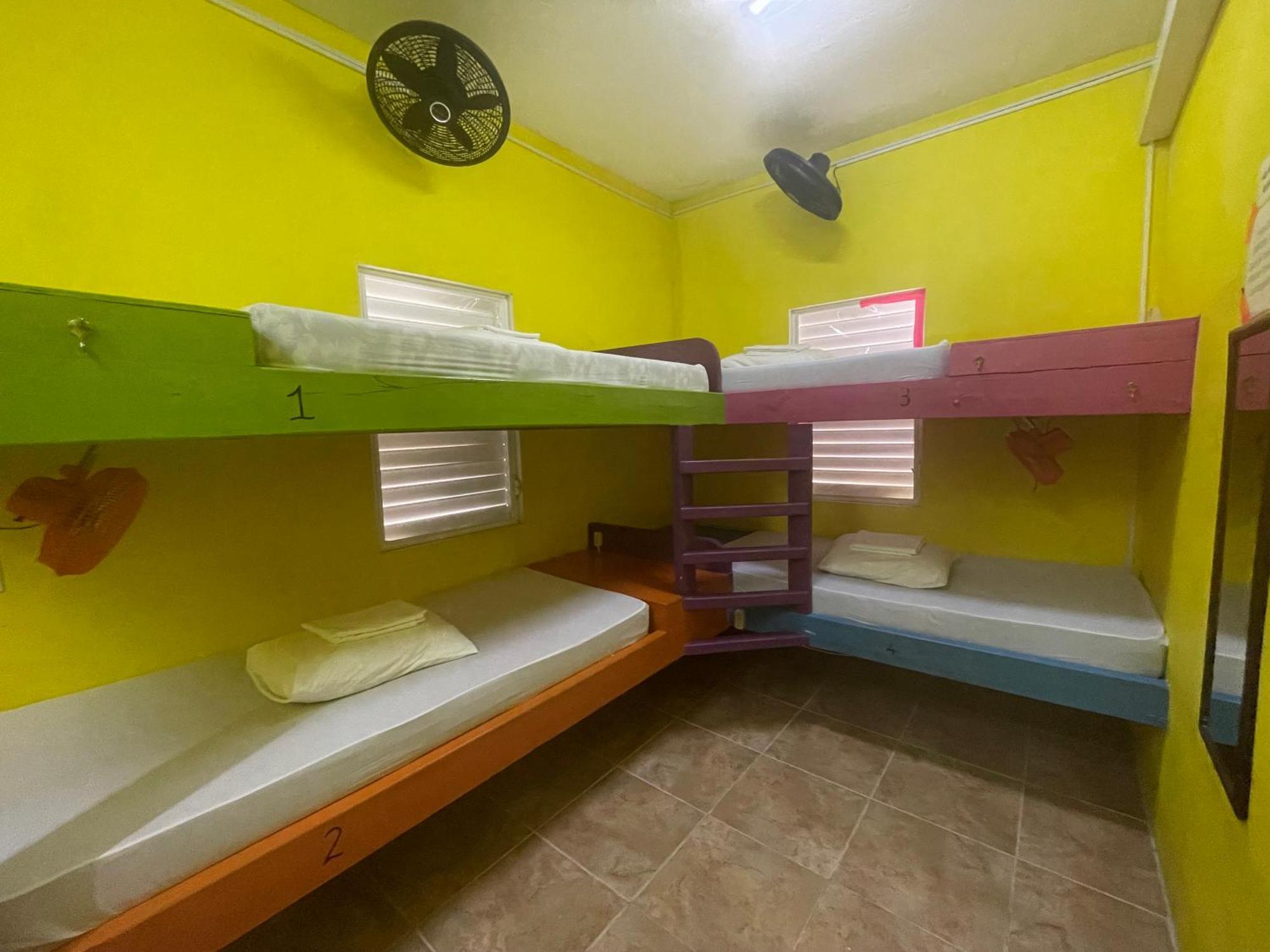 Travellers Palm Backpackers Hostel Кайе Колкер Екстериор снимка