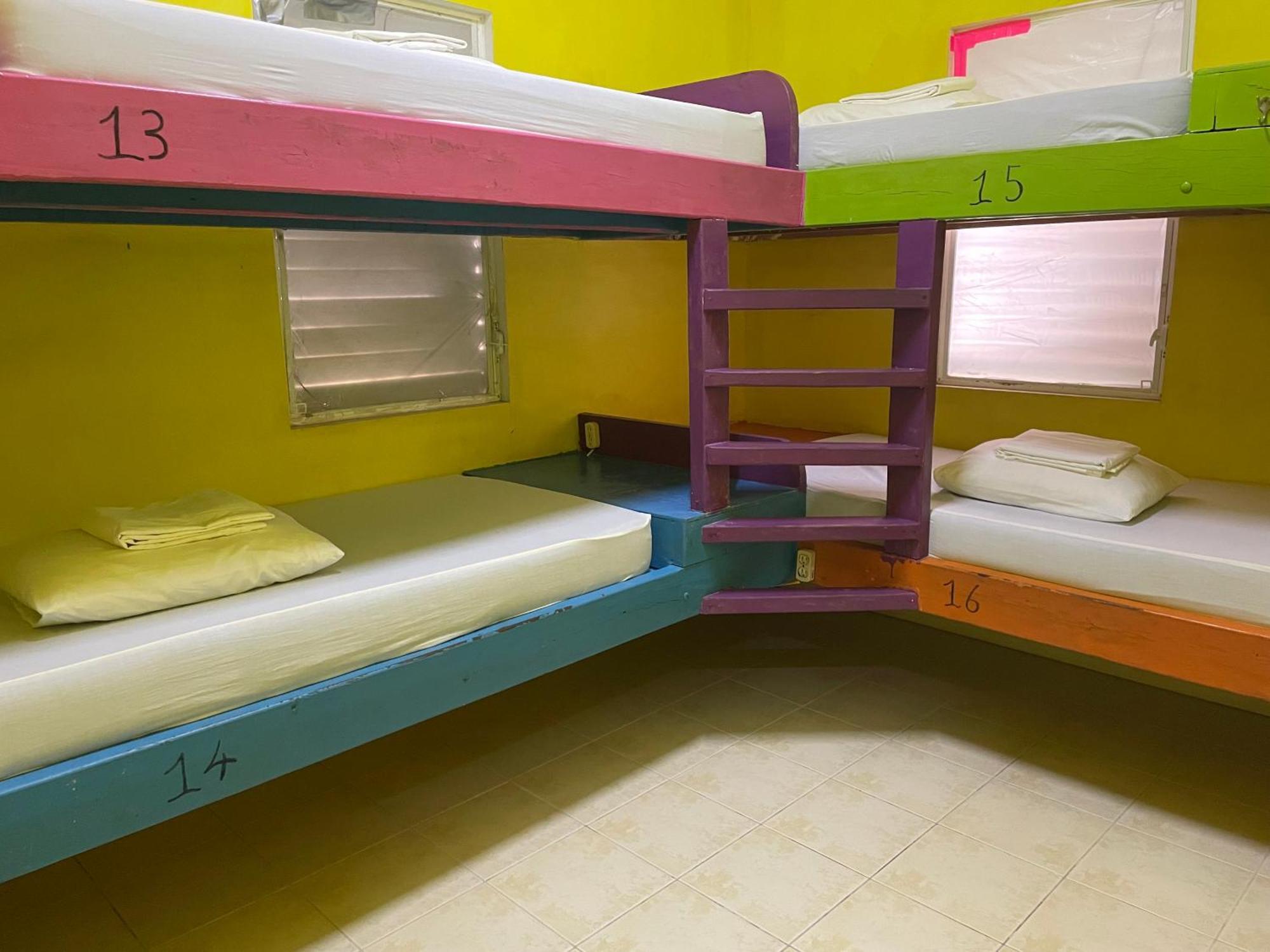 Travellers Palm Backpackers Hostel Кайе Колкер Екстериор снимка